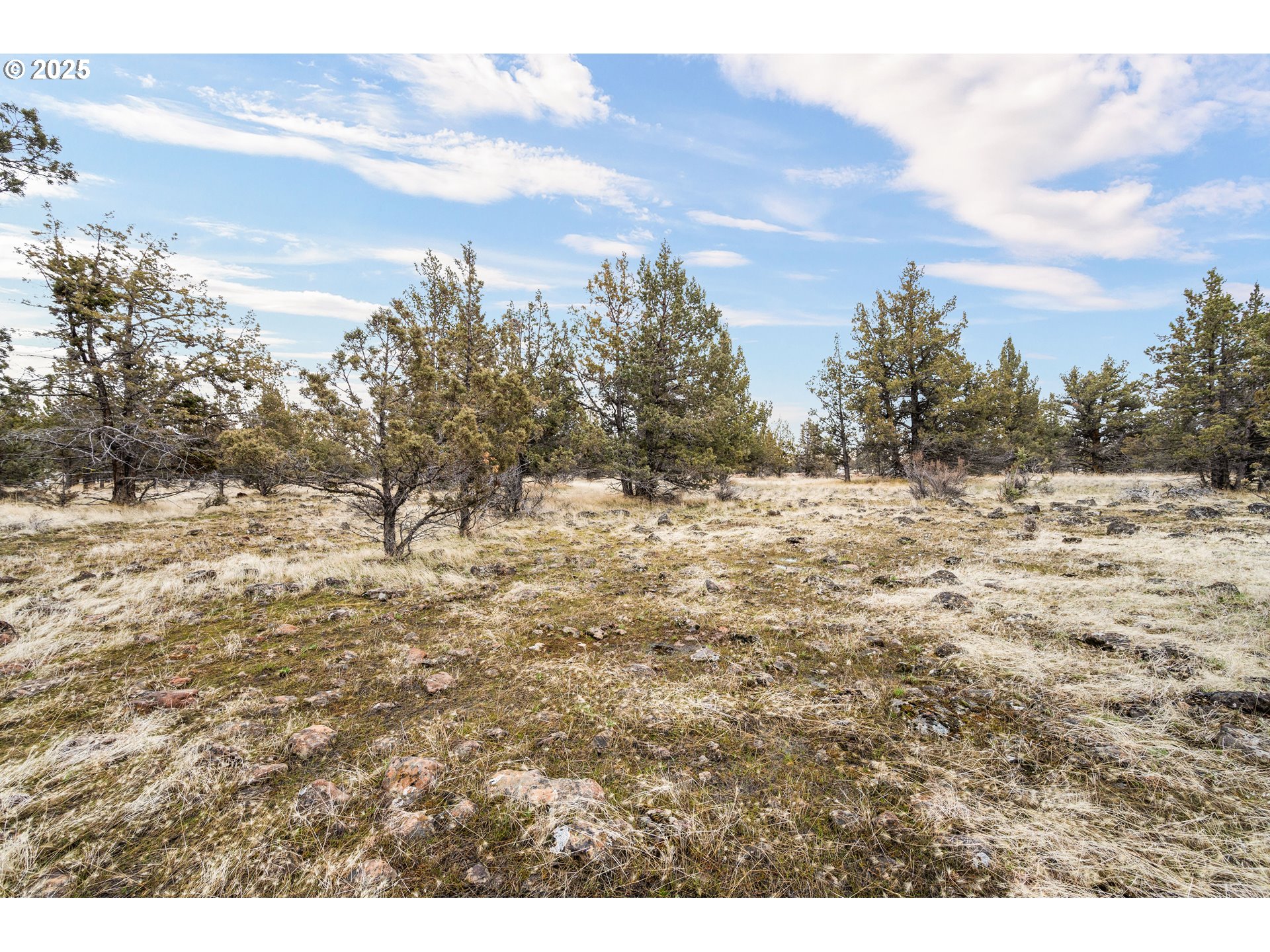 11785 Southwest Meadow Lane Culver, OR 97734 - Photo 20 of 20