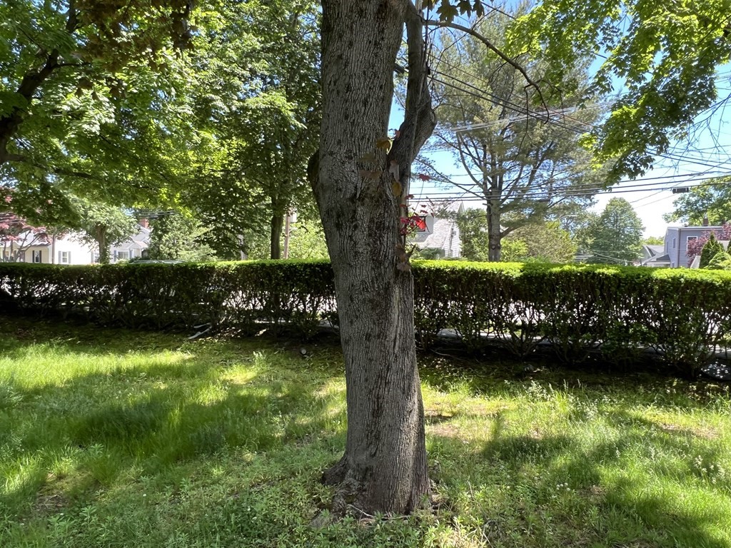 21 Lafayette Street Marblehead, MA 01945 - Photo 15 of 22