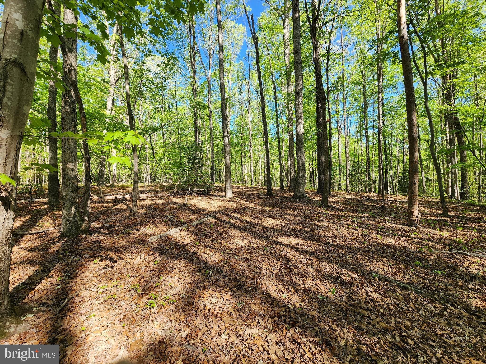 New Bridge Road Mineral, VA 23117 - Photo 11 of 14 Gallery Image 11