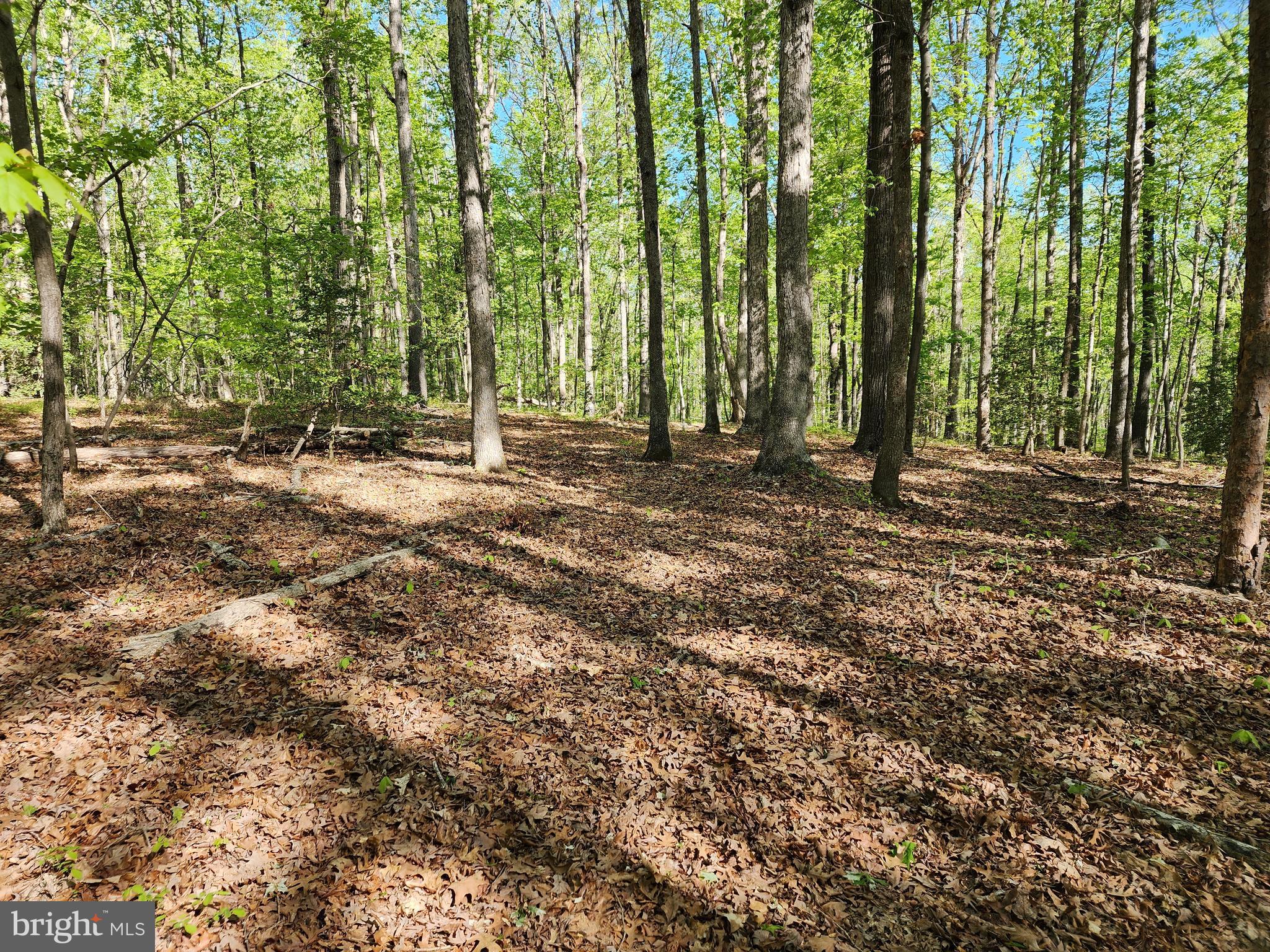 New Bridge Road Mineral, VA 23117 - Photo 12 of 14 Gallery Image 12