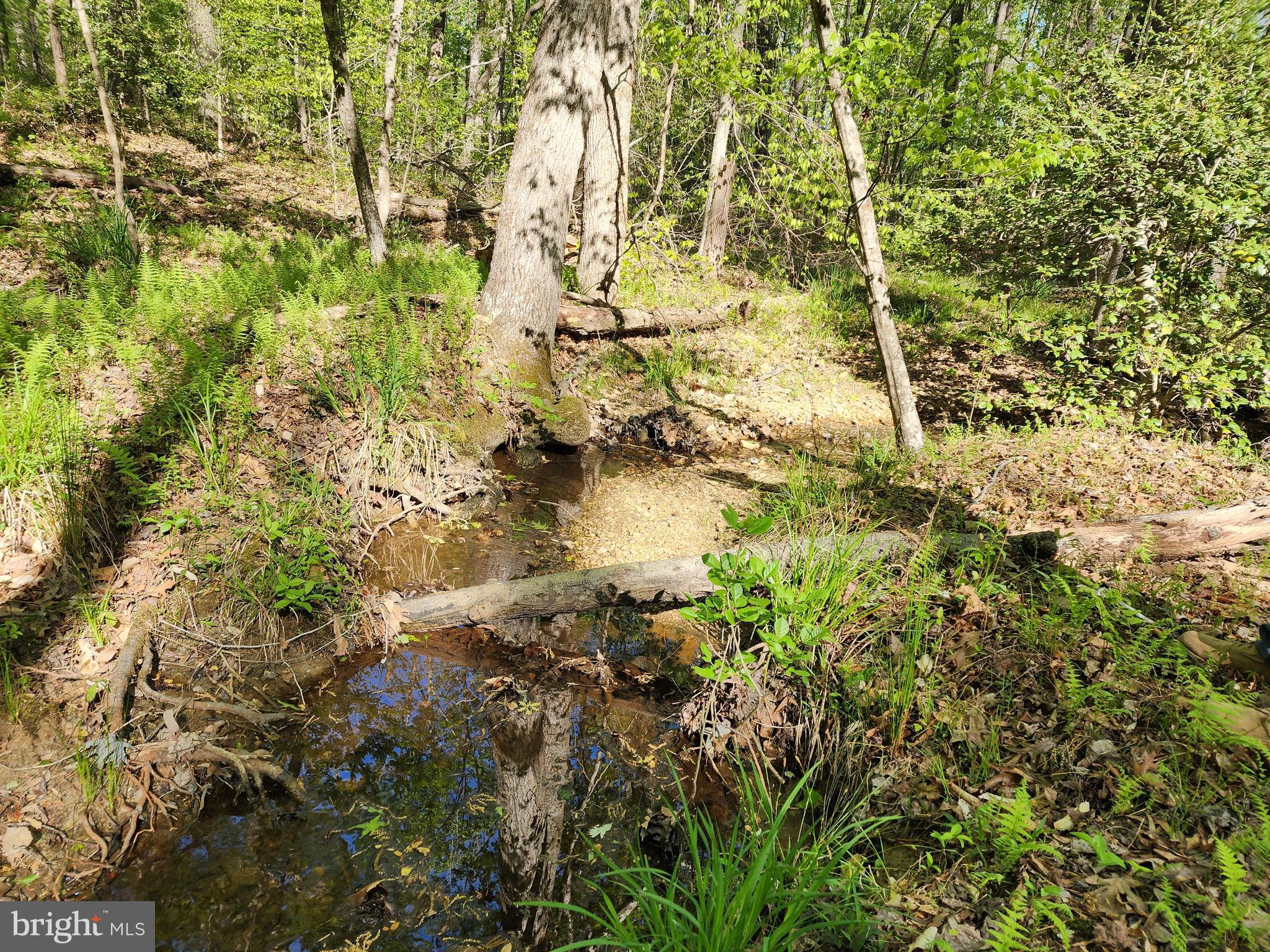 New Bridge Road Mineral, VA 23117 - Photo 3 of 14 Meandering Stream