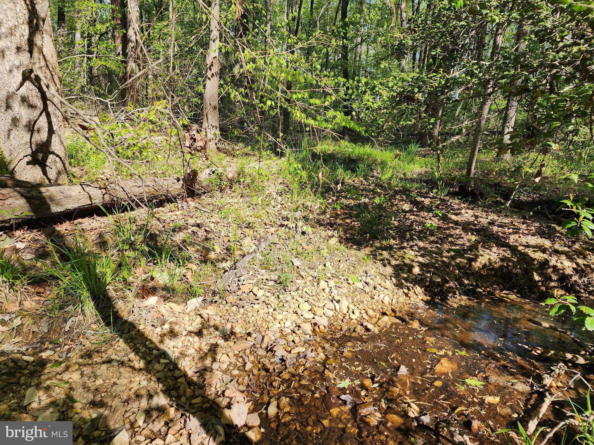 New Bridge Road Mineral, VA 23117 - Photo 4 of 14 Gallery Image 4
