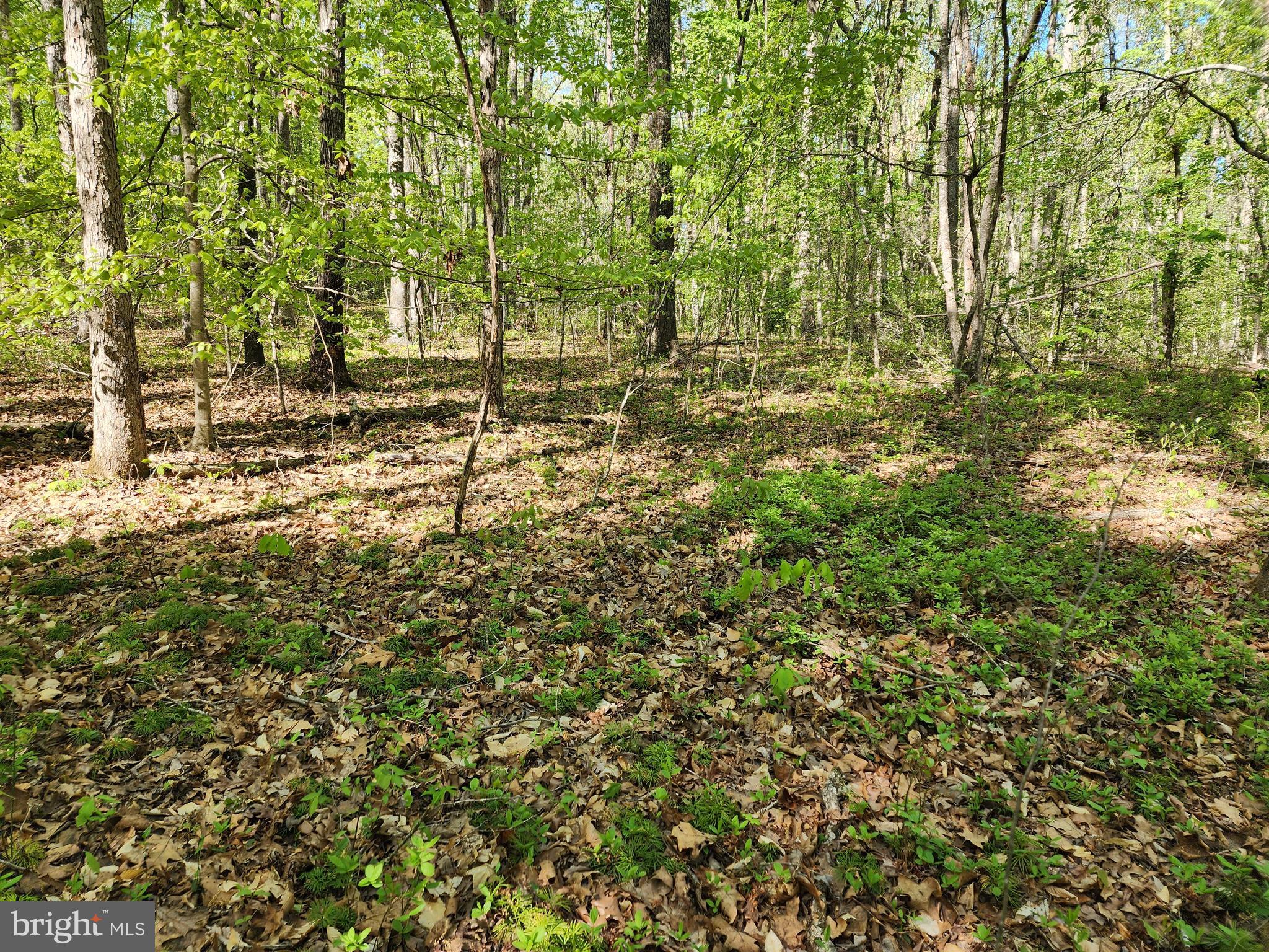 New Bridge Road Mineral, VA 23117 - Photo 5 of 14 Many open, flat spaces