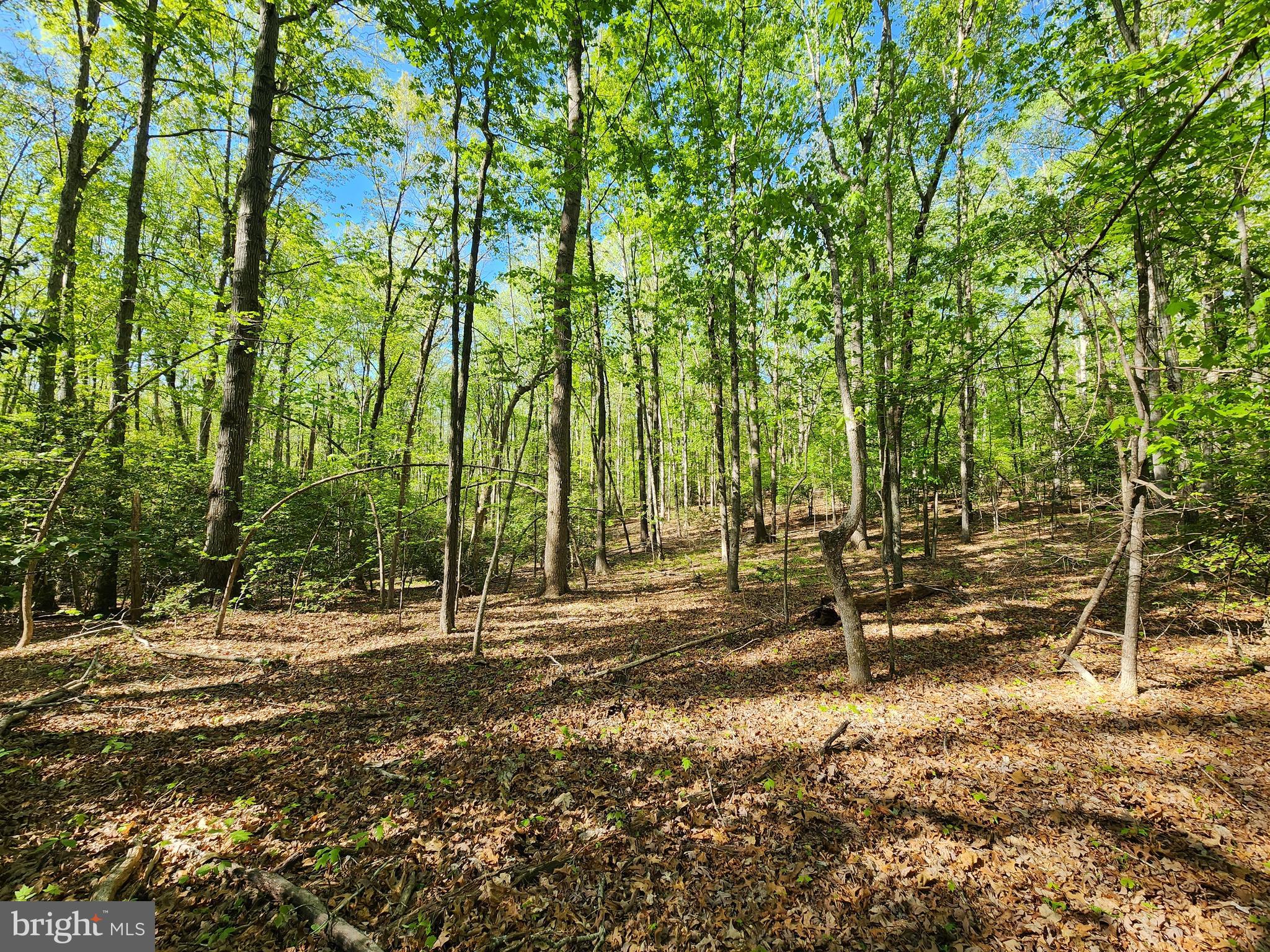 New Bridge Road Mineral, VA 23117 - Photo 7 of 14 Gallery Image 7