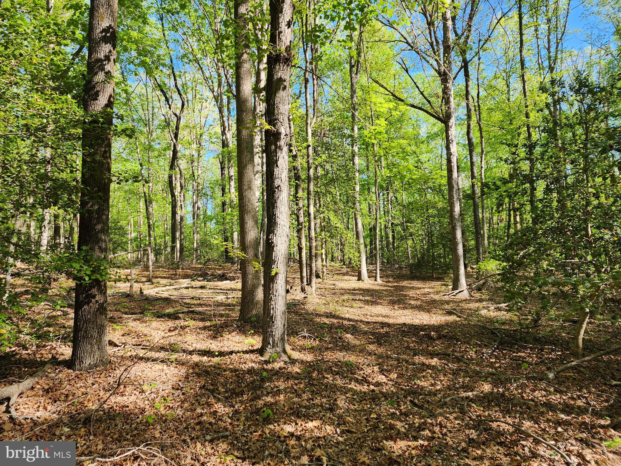 New Bridge Road Mineral, VA 23117 - Photo 10 of 14 Gallery Image 10
