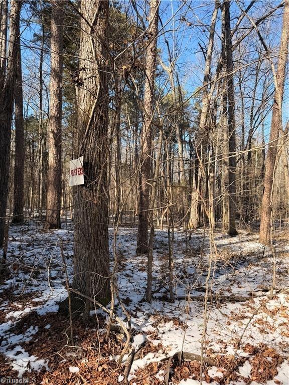 0 Stokes Ferry Road Gold Hill, NC 28071 - Photo 4 of 4