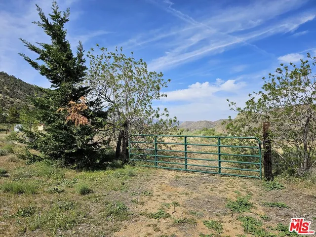 a view of a yard with wooden fence