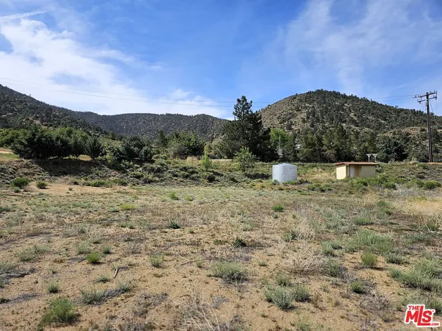 a view of a dry yard with green space