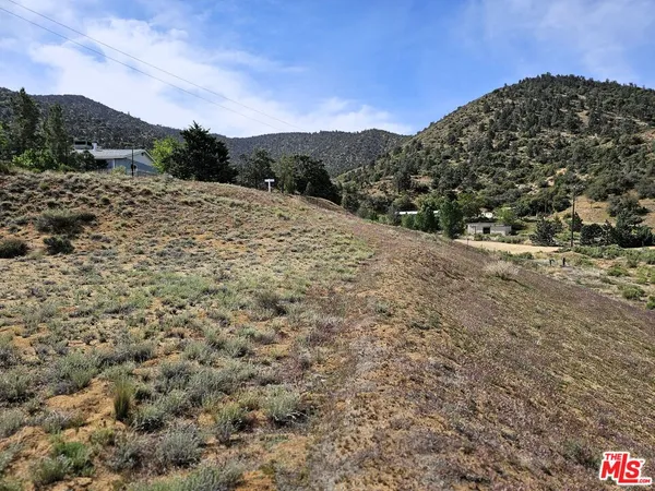 a view of a dry yard with mountains in the background