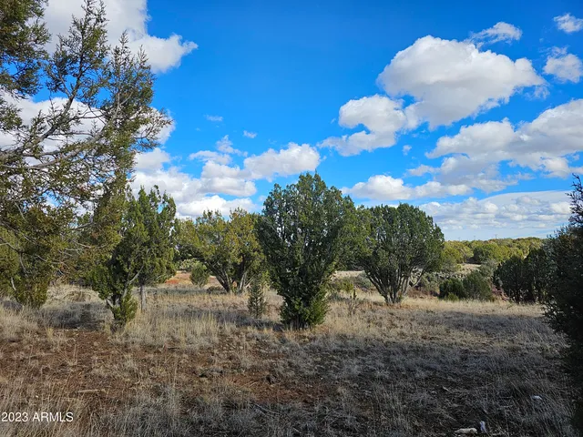 $65,000 | 8281 Elsinore Place, Unit 16 &15, Show Low, AZ 85901