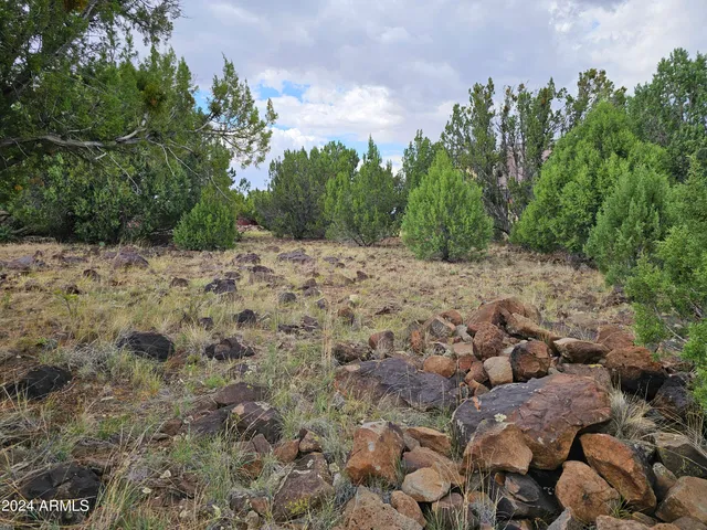 $65,000 | 8281 Elsinore Place, Unit 16 &15, Show Low, AZ 85901