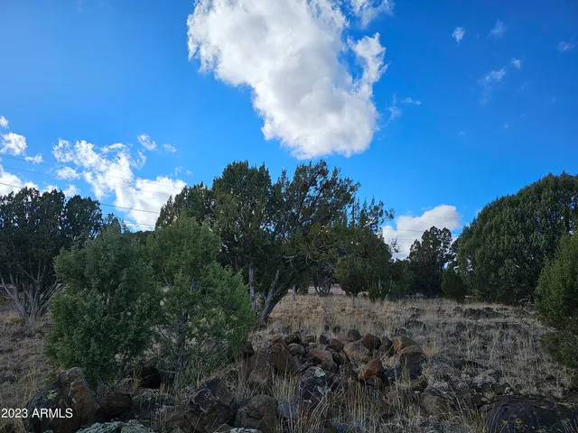 $65,000 | 8281 Elsinore Place, Unit 16 &15, Show Low, AZ 85901