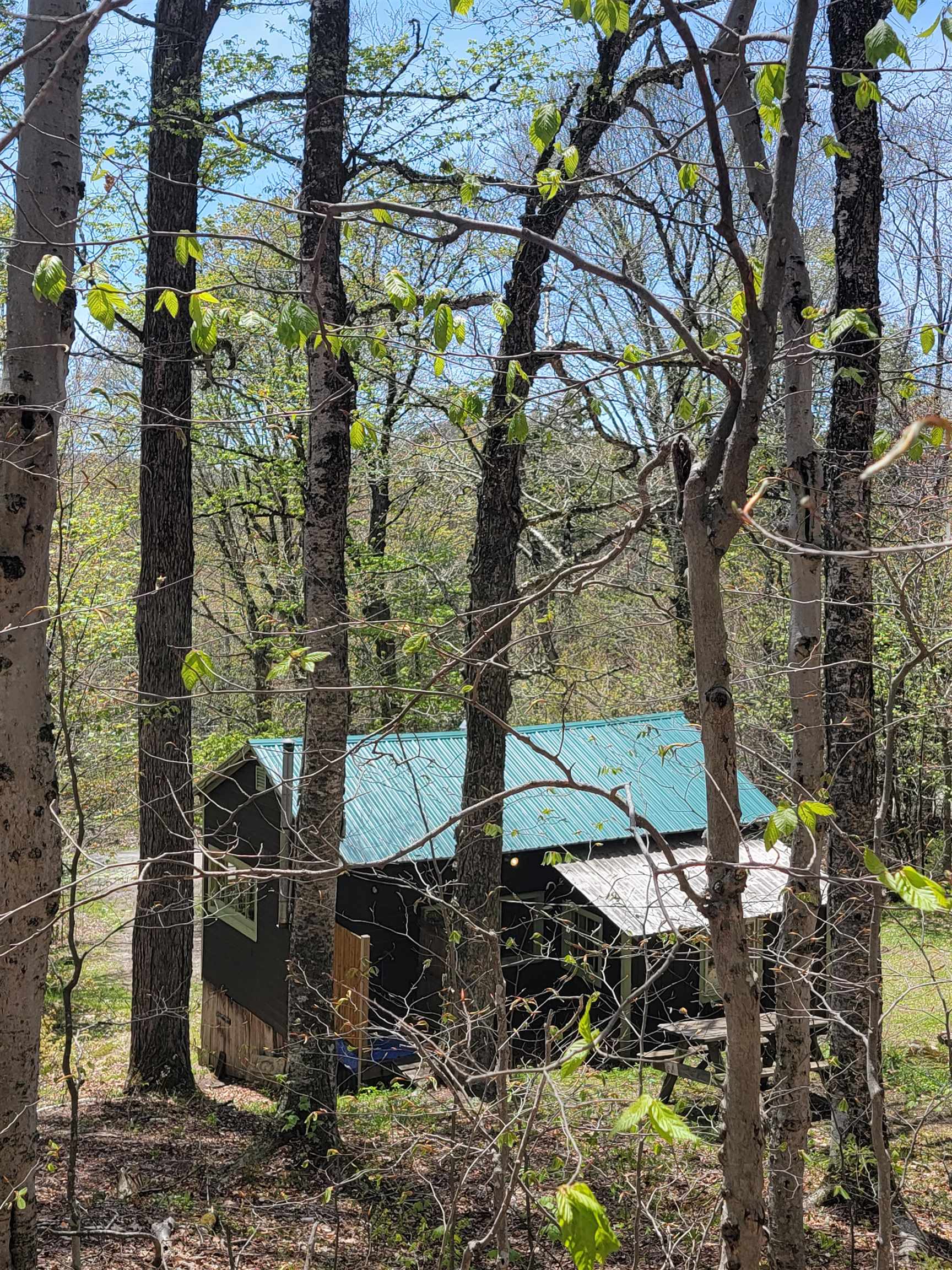 845 Bailey Hill Road Readsboro, VT 05350 - Photo 34 of 45
