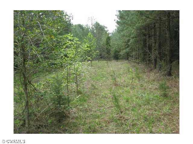 0 Verdon Road Ruther Glen, VA 22546 - Photo 3 of 6 Land