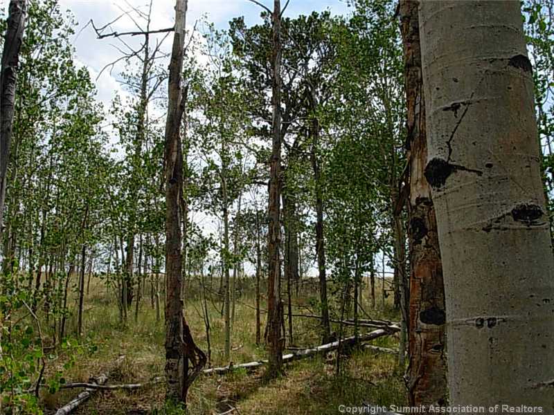 42 Smith And Wesson Road Como, CO 80432 - Photo 9 of 12 Land/Lot.