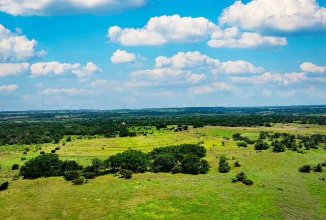 a view of a yard with plants and trees