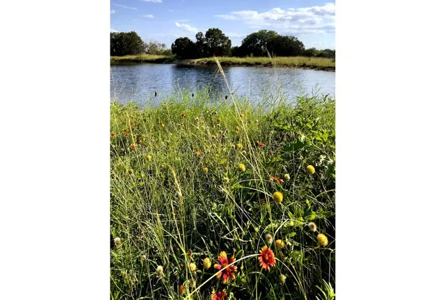 $899,000 | 730 Highway 84, Goldthwaite, TX 76844