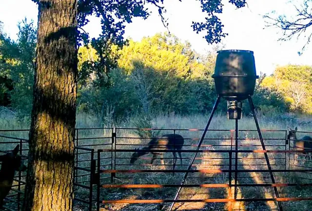 $899,000 | 730 Highway 84, Goldthwaite, TX 76844