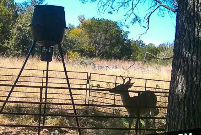 $899,000 | 730 Highway 84, Goldthwaite, TX 76844