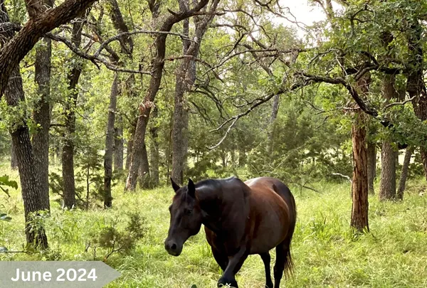 $825,000 | 730 Highway 84, Goldthwaite, TX 76844