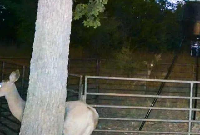 $899,000 | 730 Highway 84, Goldthwaite, TX 76844