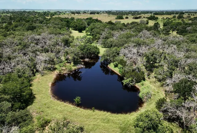 a view of a bunch of trees and houses