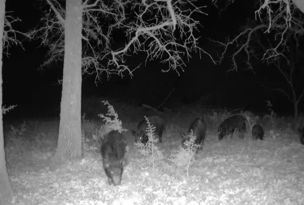 $825,000 | 730 Highway 84, Goldthwaite, TX 76844