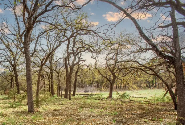 $825,000 | 730 Highway 84, Goldthwaite, TX 76844