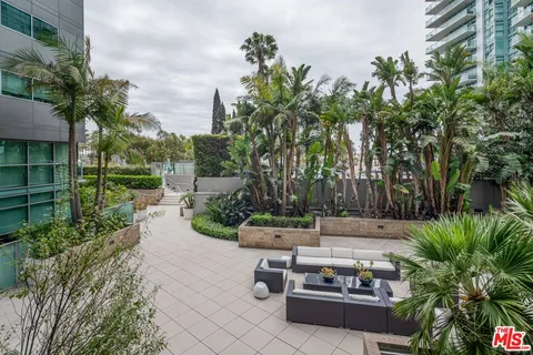 a view of a park with plants and trees