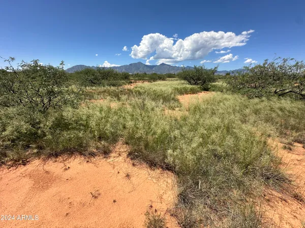 $39,500 | 0 East Nevada Drive, Unit 36, Hereford, AZ 85615