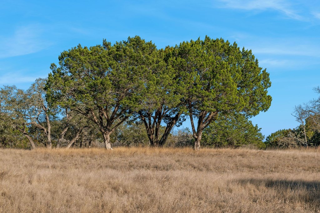 521 Bluff Creek Road North, Unit 12 Center Point, TX 78010 - Photo 62 of 71
