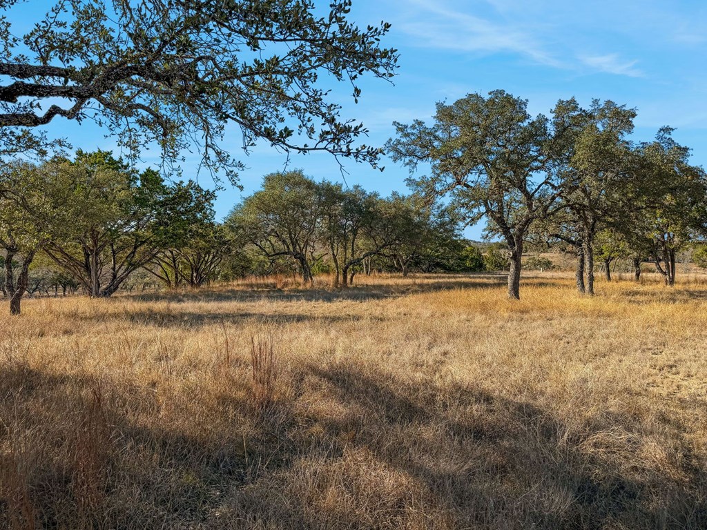 521 Bluff Creek Road North, Unit 12 Center Point, TX 78010 - Photo 67 of 71