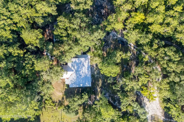 a view of a lake with a tree