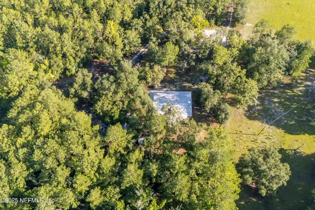 a backyard of a house with large trees and plants