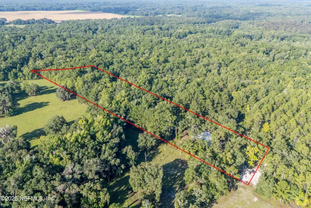a view of a backyard with table and chairs potted plants and large tree