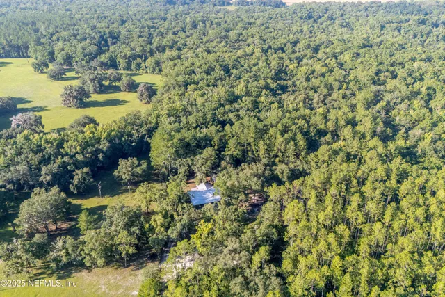 a backyard of a house with lots of green space