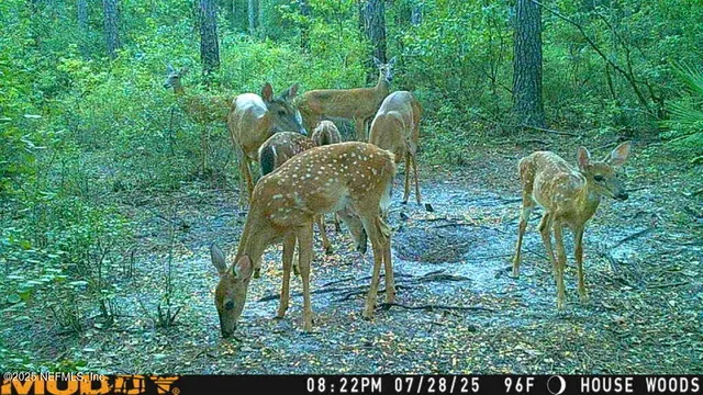 $414,900 | 11309 Southwest 167th Circle, Brooker, FL 32622