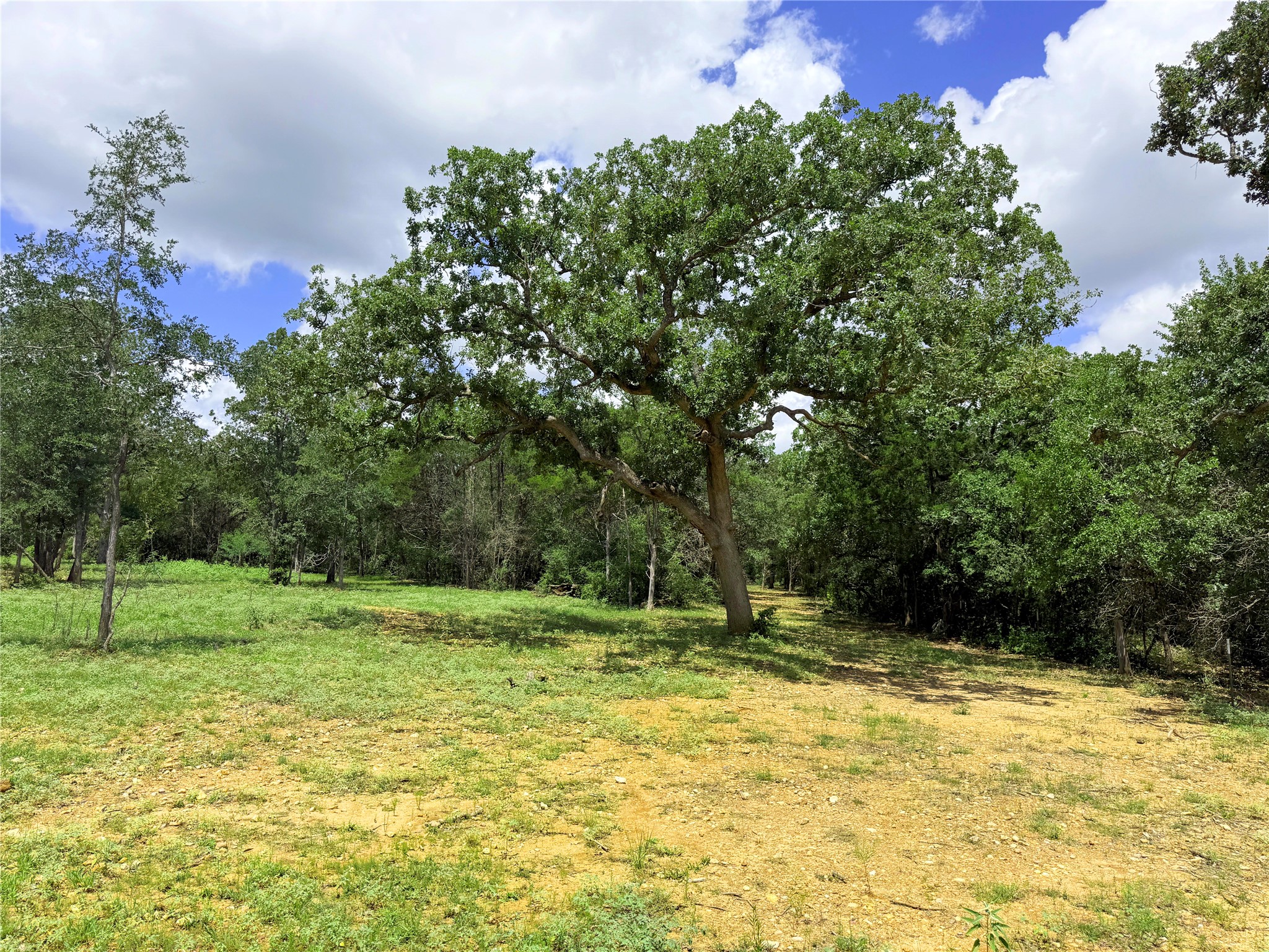 141 Grassyville Road Paige, TX 78659 - Photo 26 of 34 a view of outdoor space with deck and yard