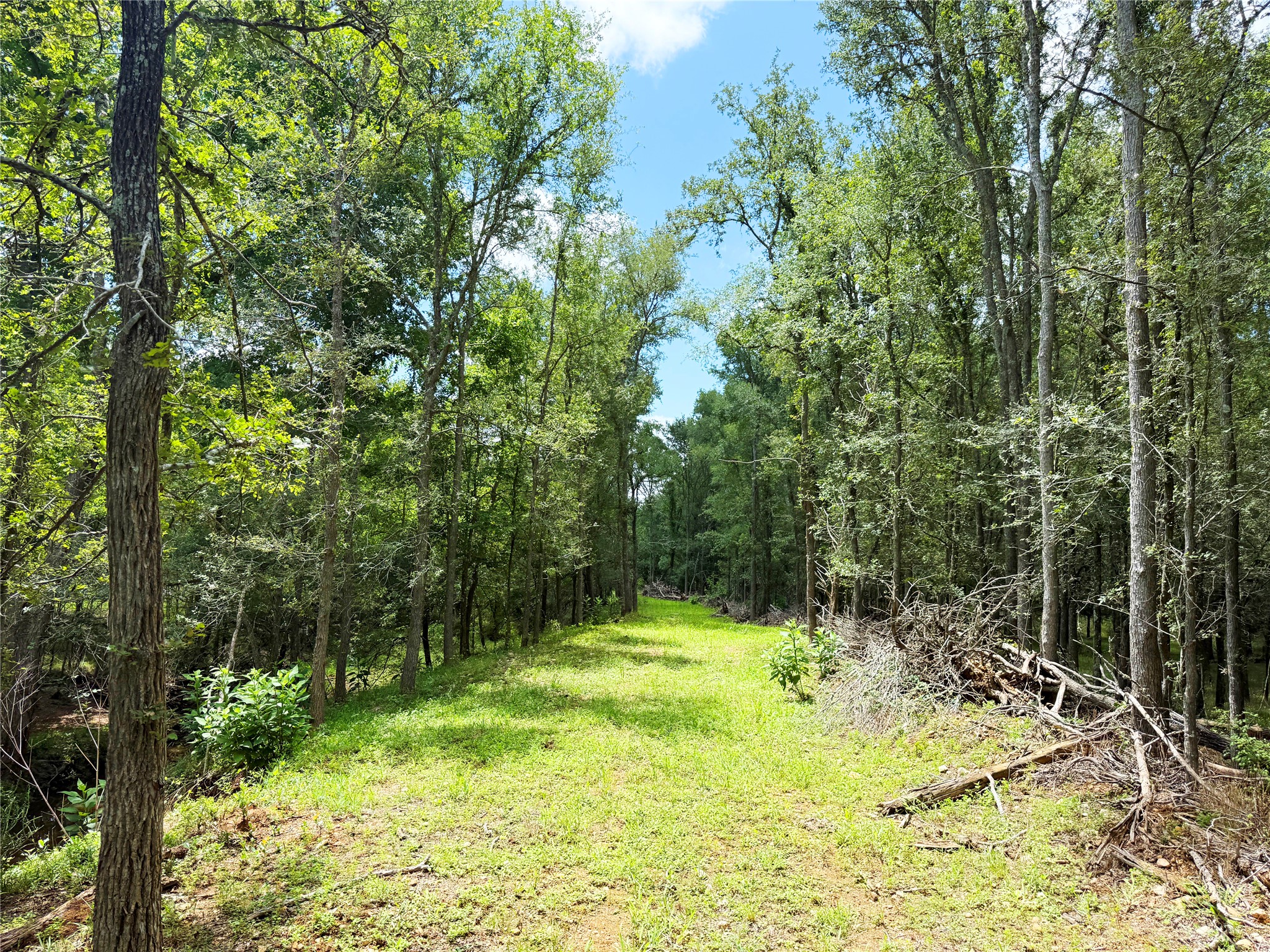141 Grassyville Road Paige, TX 78659 - Photo 27 of 34 a view of swimming pool from a yard