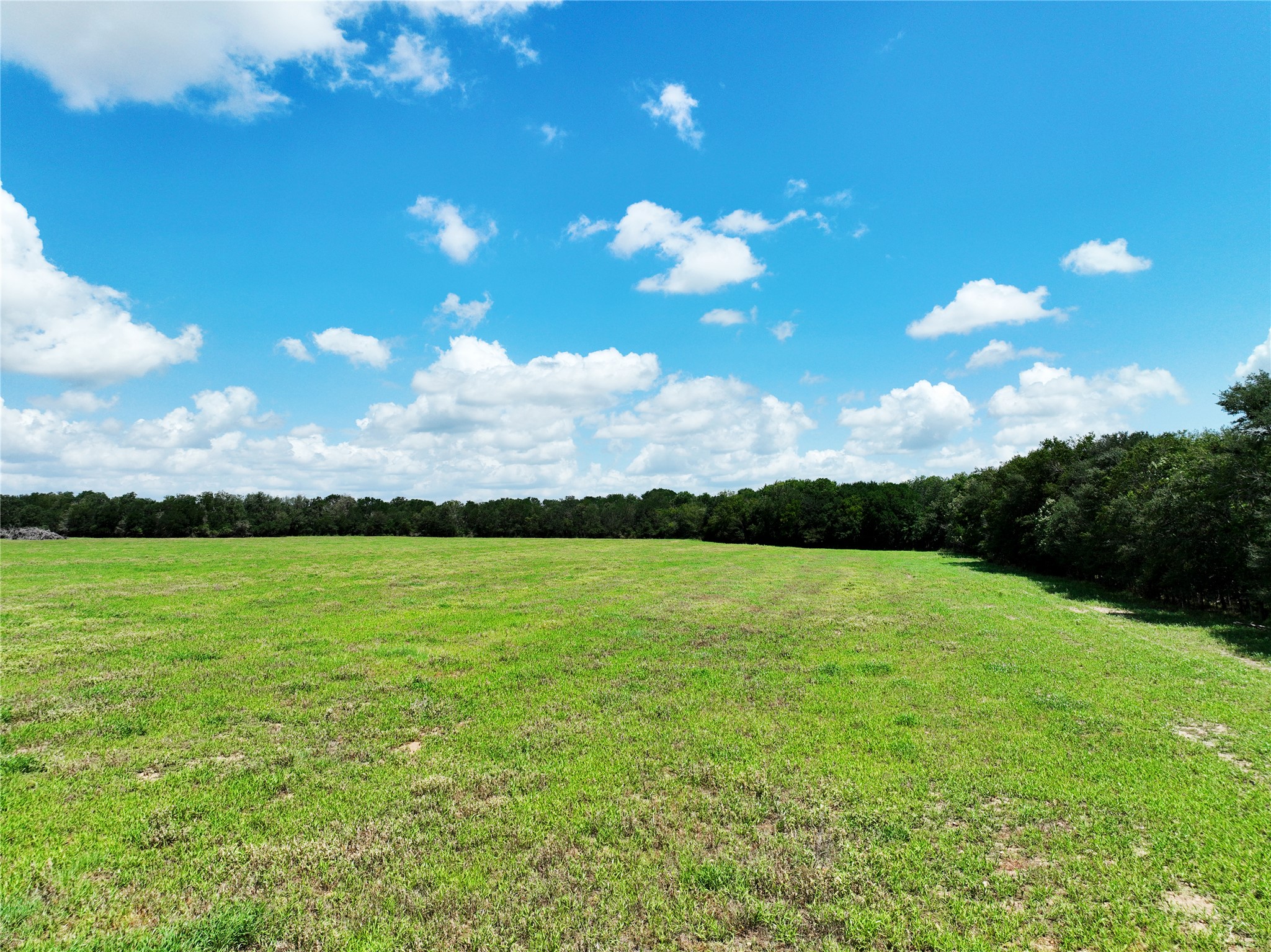 141 Grassyville Road Paige, TX 78659 - Photo 31 of 34 a view of an ocean and yard