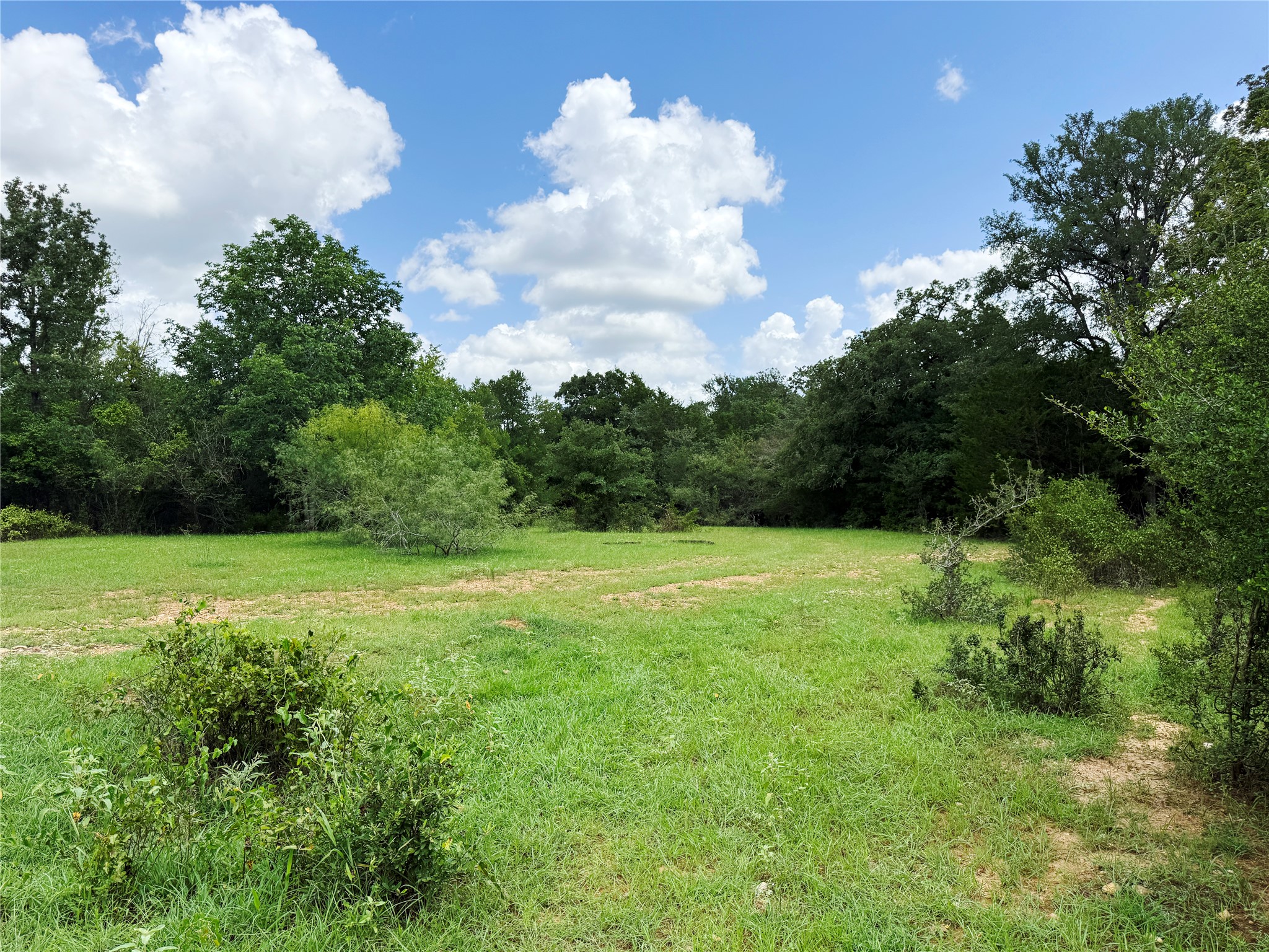 141 Grassyville Road Paige, TX 78659 - Photo 32 of 34 a view of a big yard with lots of green space