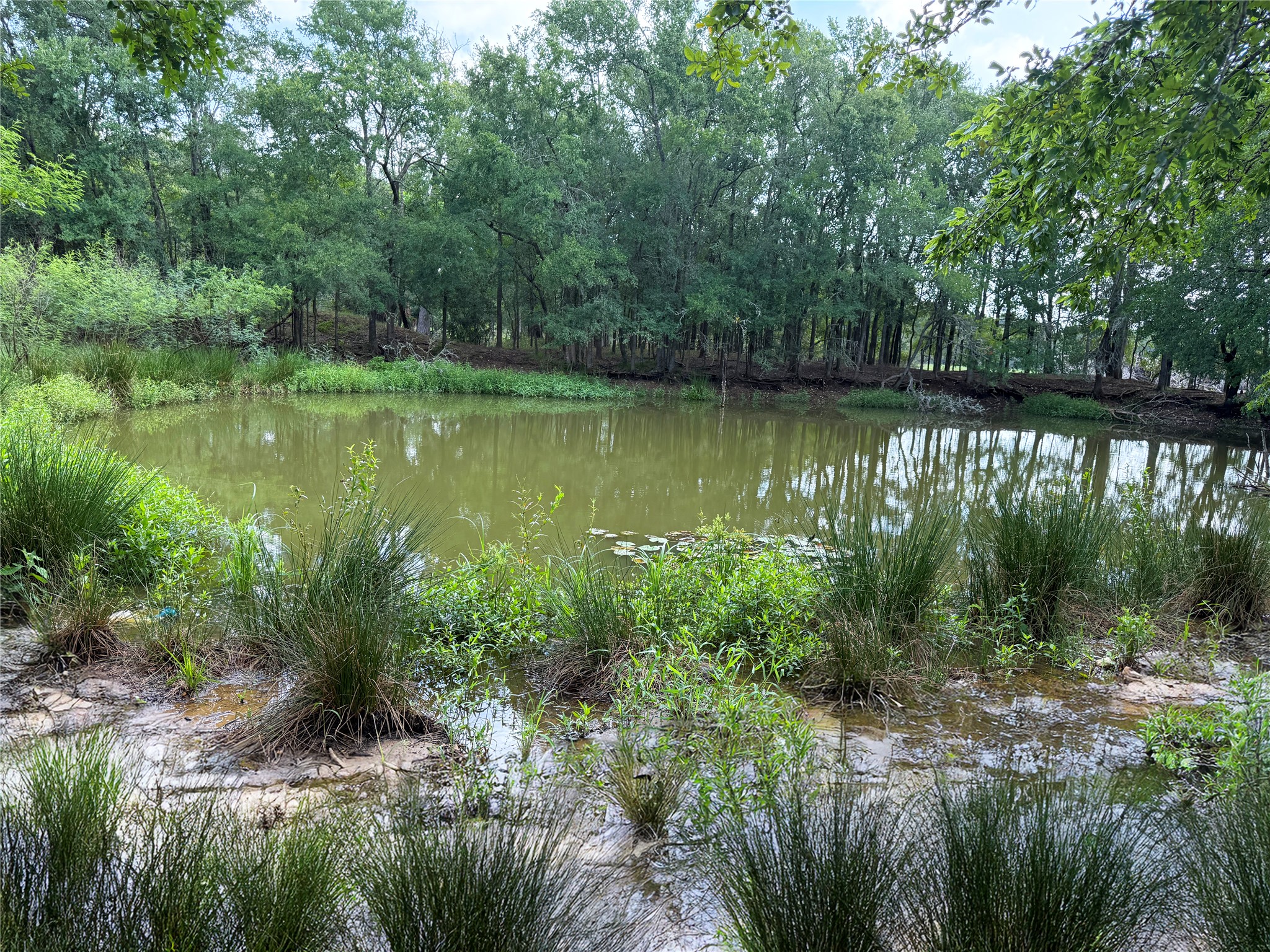 141 Grassyville Road Paige, TX 78659 - Photo 4 of 34 a view of a lake view with a garden