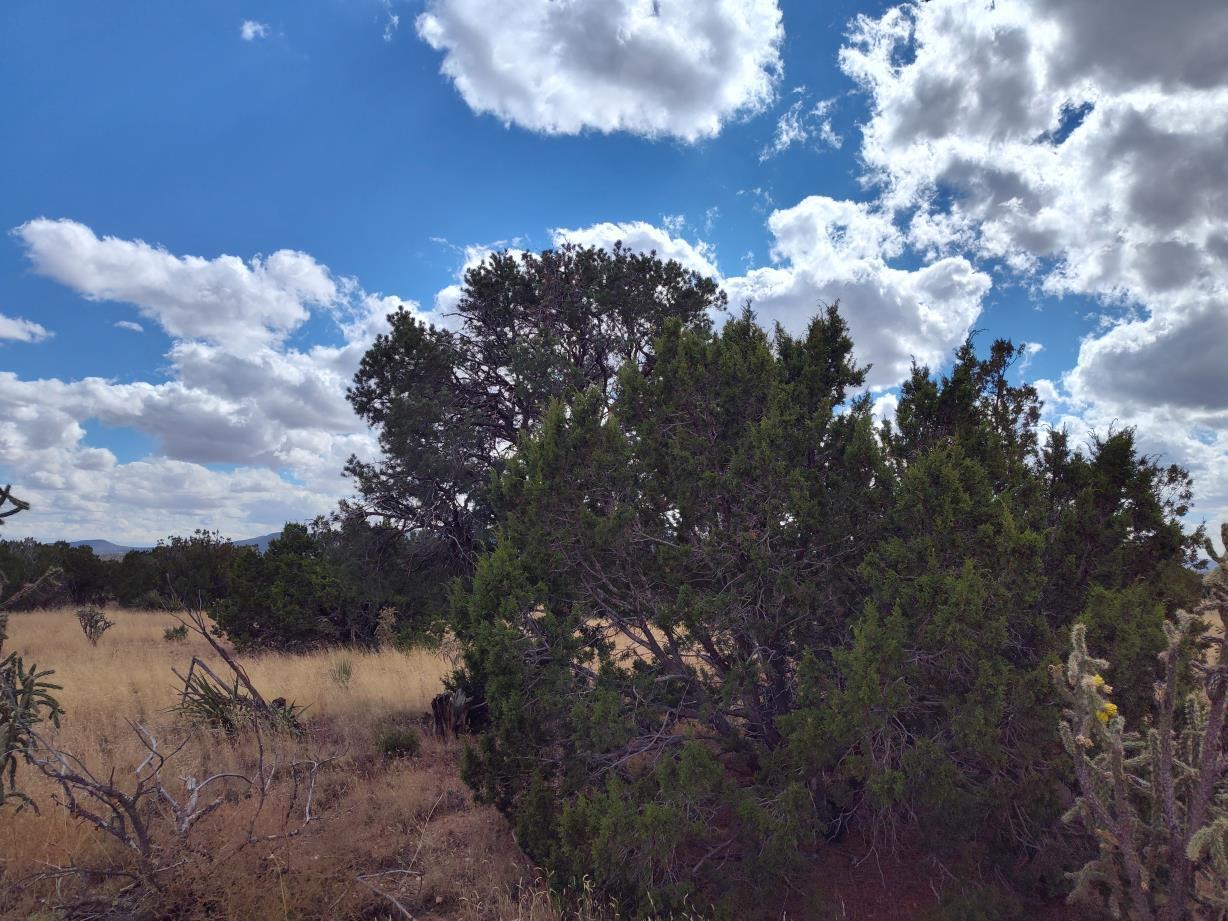 Golf Course Road Mountainair, NM 87036 - Photo 8 of 22 Gallery Image 8