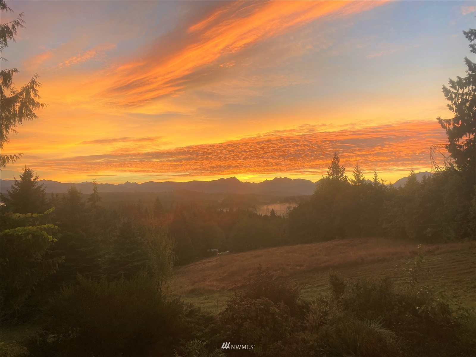 10029 Wagner Road Snohomish, WA 98290 - Photo 30 of 40 a view of an ocean