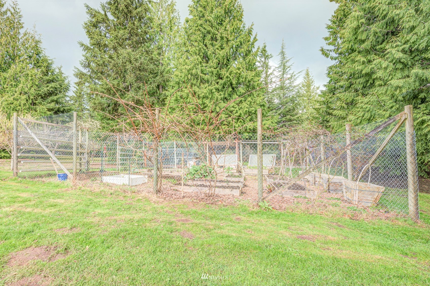 10029 Wagner Road Snohomish, WA 98290 - Photo 35 of 40 a view of outdoor space with deck and trees