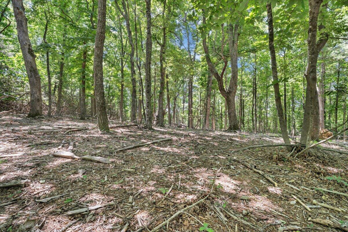 Tbd Dogwood Ridge Fancy Gap, VA 24328 - Photo 10 of 24 21-MIB08741