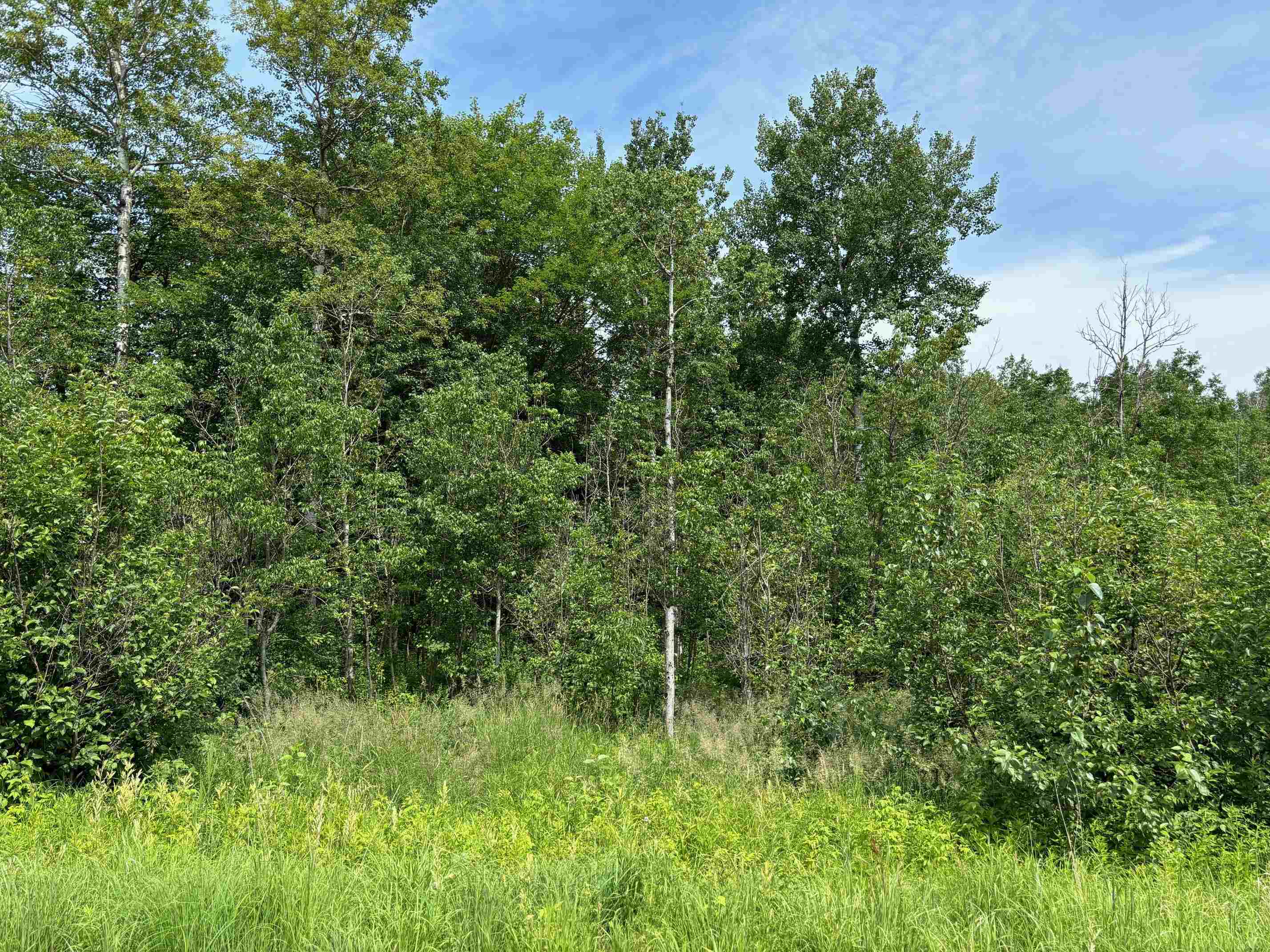 16-xxx Lavaque Road Proctor, MN 55810 - Photo 5 of 10 View of local wilderness