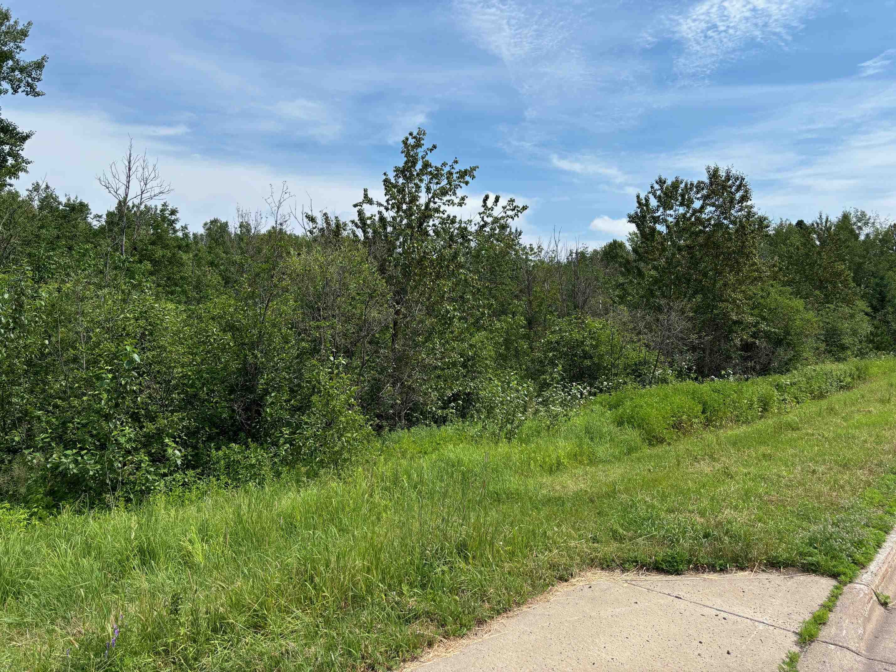 16-xxx Lavaque Road Proctor, MN 55810 - Photo 6 of 10 View of nature