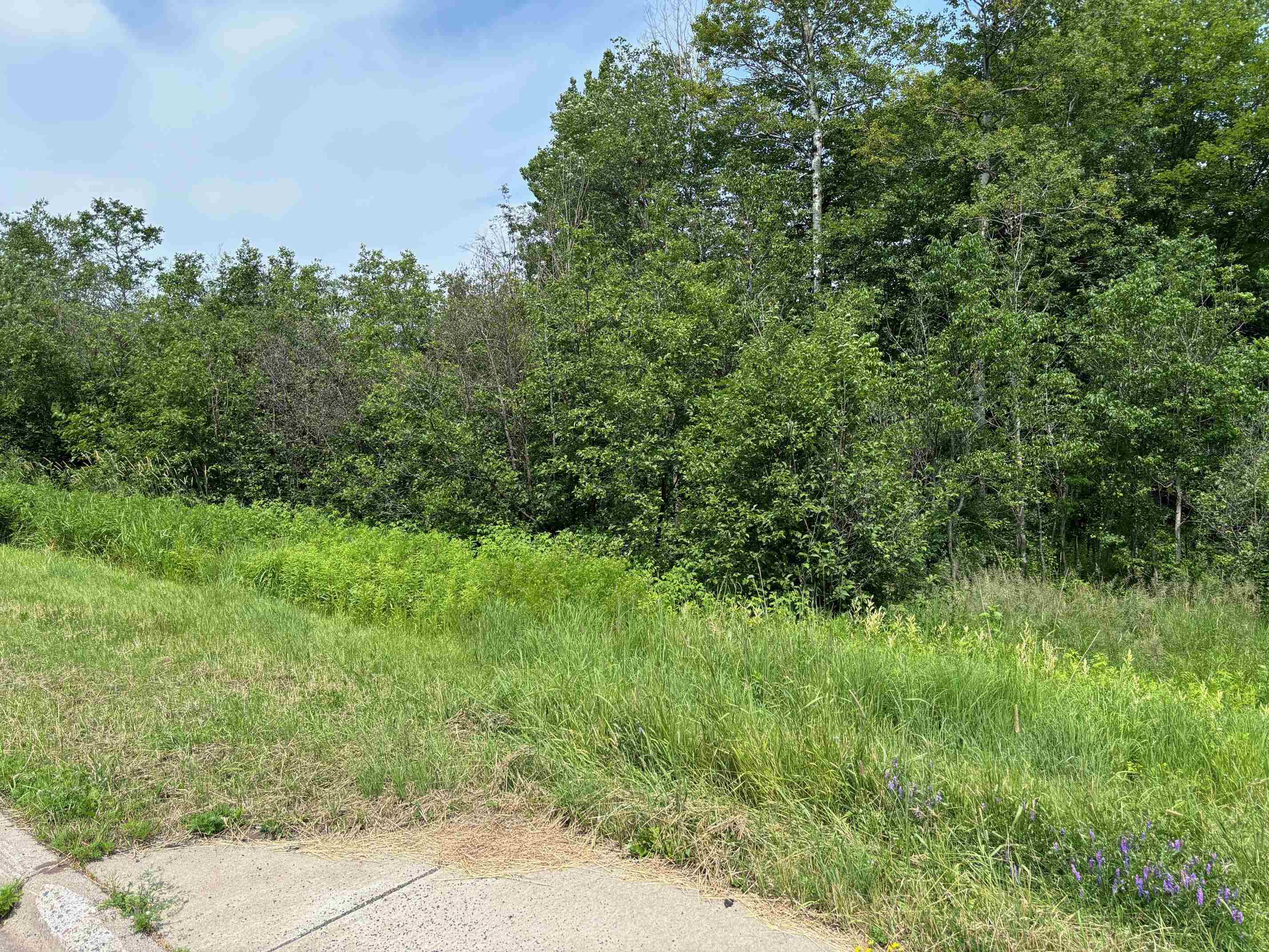 16-xxx Lavaque Road Proctor, MN 55810 - Photo 7 of 10 View of nature
