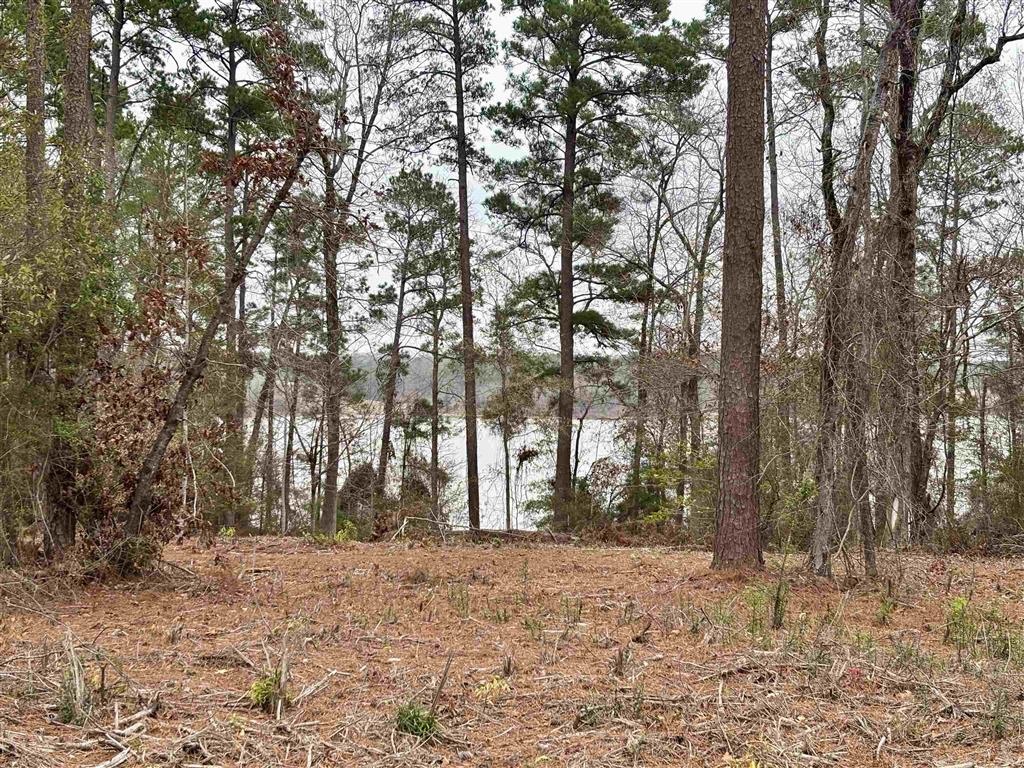 Lazy Point Trail Many, LA 71449 - Photo 15 of 20